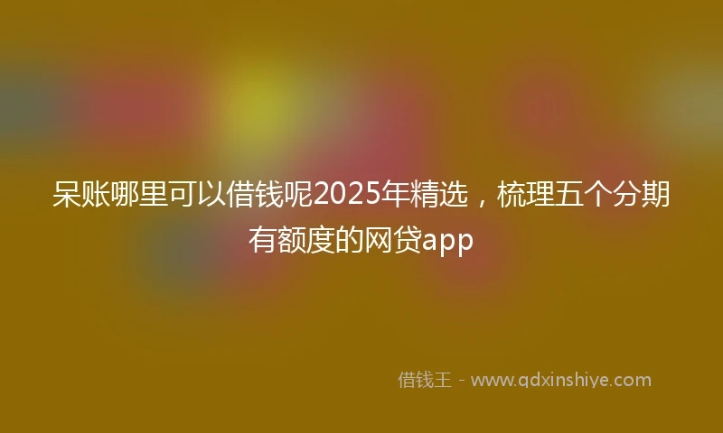呆账哪里可以借钱呢2025年精选，梳理五个分期有额度的网贷app