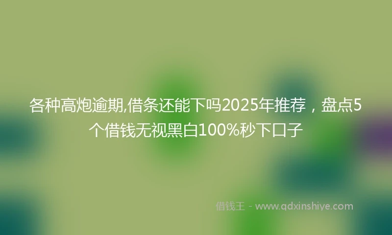 各种高炮逾期,借条还能下吗2025年推荐,盘点5个借钱无视黑白100%秒下口子