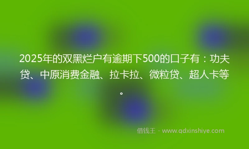 2025年的双黑烂户有逾期下500的口子有：功夫贷、中原消费金融、拉卡拉、微粒贷、超人卡等。