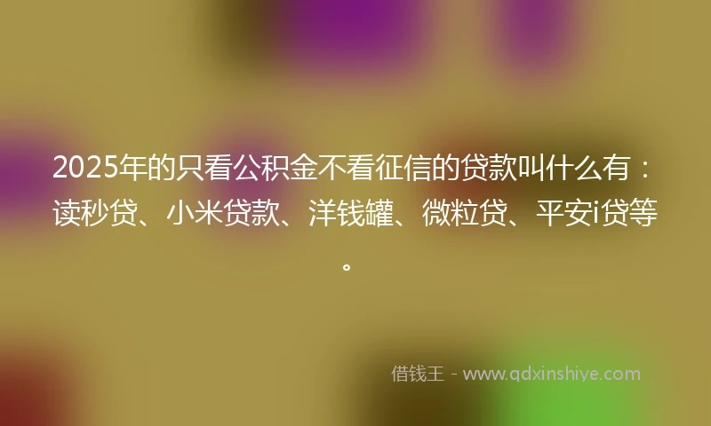 2025年的只看公积金不看征信的贷款叫什么有：读秒贷、小米贷款、洋钱罐、微粒贷、平安i贷等。