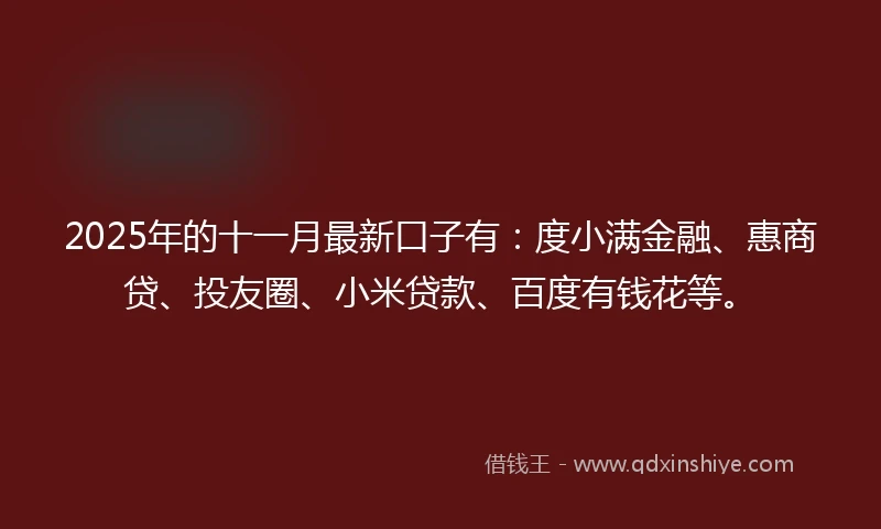 2025年的十一月最新口子有：度小满金融、惠商贷、投友圈、小米贷款、百度有钱花等。
