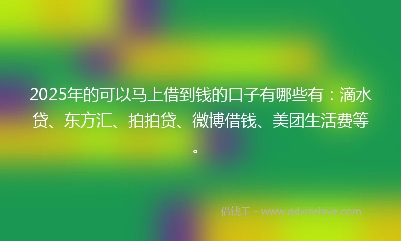2025年的可以马上借到钱的口子有哪些有:滴水贷、东方汇、拍拍贷、微博借钱、美团生活费等。