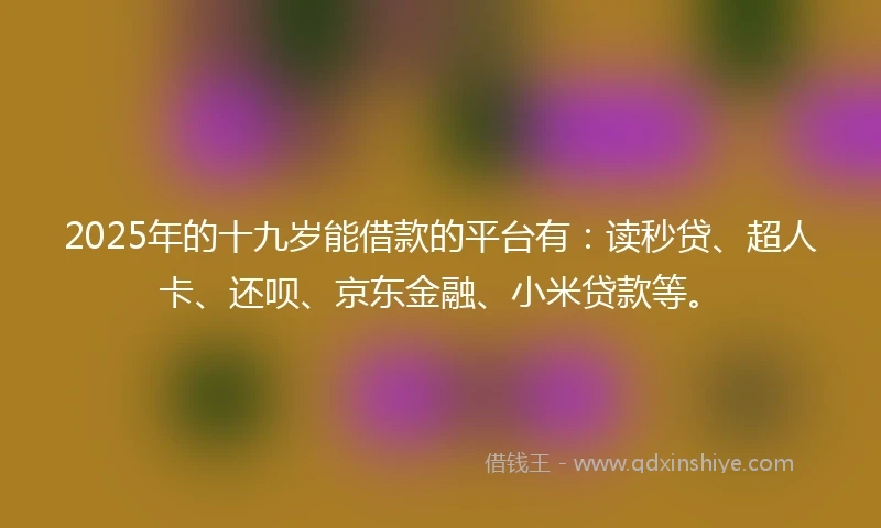 2025年的十九岁能借款的平台有：读秒贷、超人卡、还呗、京东金融、小米贷款等。