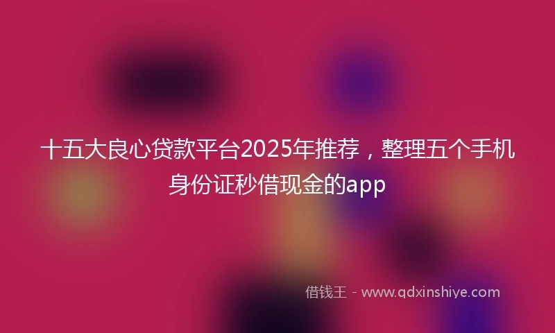 十五大良心贷款平台2025年推荐，整理五个手机身份证秒借现金的app
