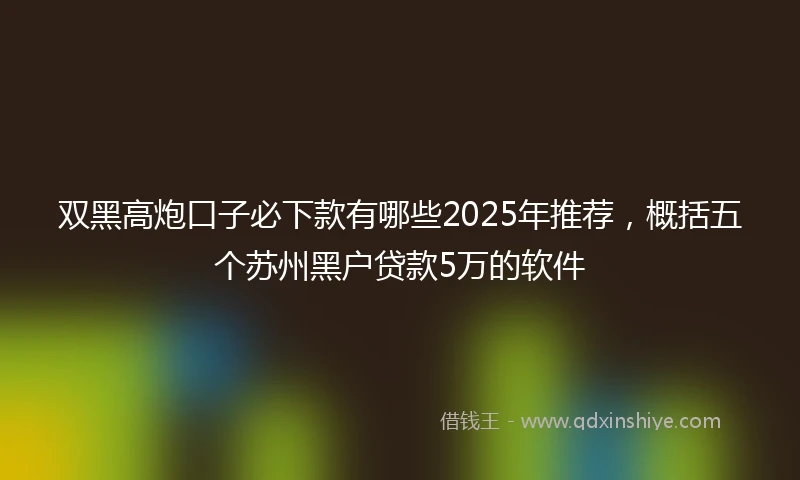 双黑高炮口子必下款有哪些2025年推荐，概括五个苏州黑户贷款5万的软件
