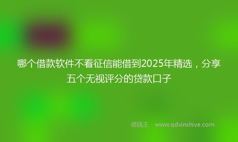 哪个借款软件不看征信能借到2025年精选，分享五个无视评分的贷款口子