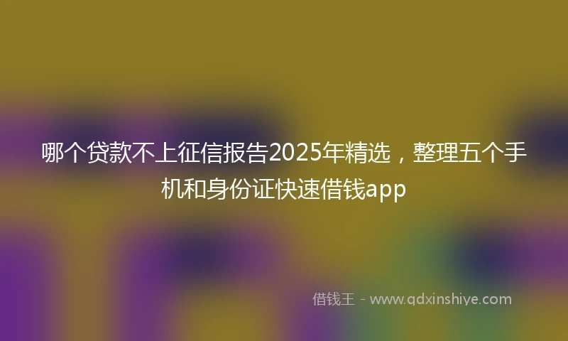 哪个贷款不上征信报告2025年精选，整理五个手机和身份证快速借钱app