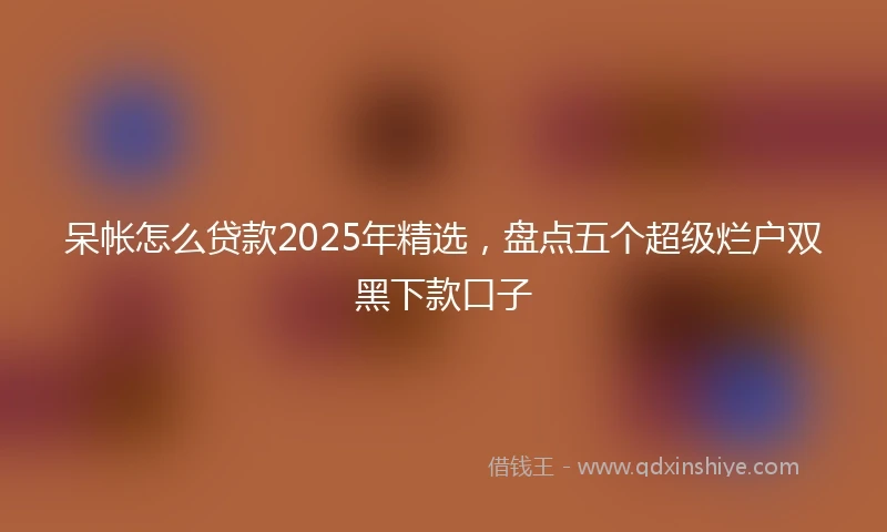 呆帐怎么贷款2025年精选，盘点五个超级烂户双黑下款口子