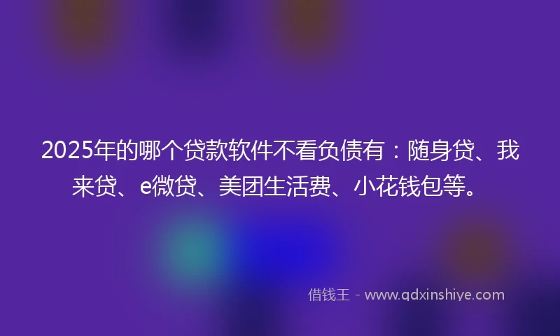 2025年的哪个贷款软件不看负债有：随身贷、我来贷、e微贷、美团生活费、小花钱包等。