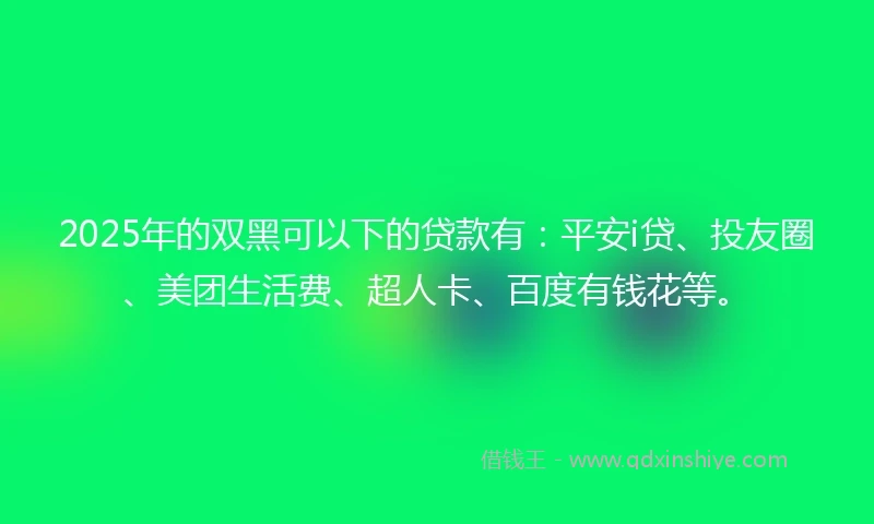 2025年的双黑可以下的贷款有：平安i贷、投友圈、美团生活费、超人卡、百度有钱花等。