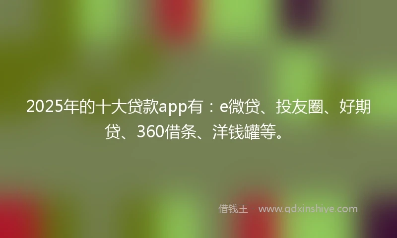 2025年的十大贷款app有：e微贷、投友圈、好期贷、360借条、洋钱罐等。
