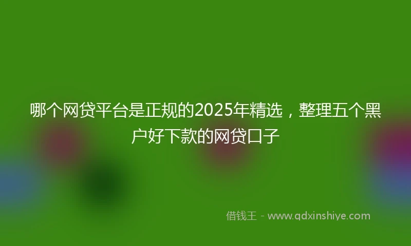 哪个网贷平台是正规的2025年精选,整理五个黑户好下款的网贷口子