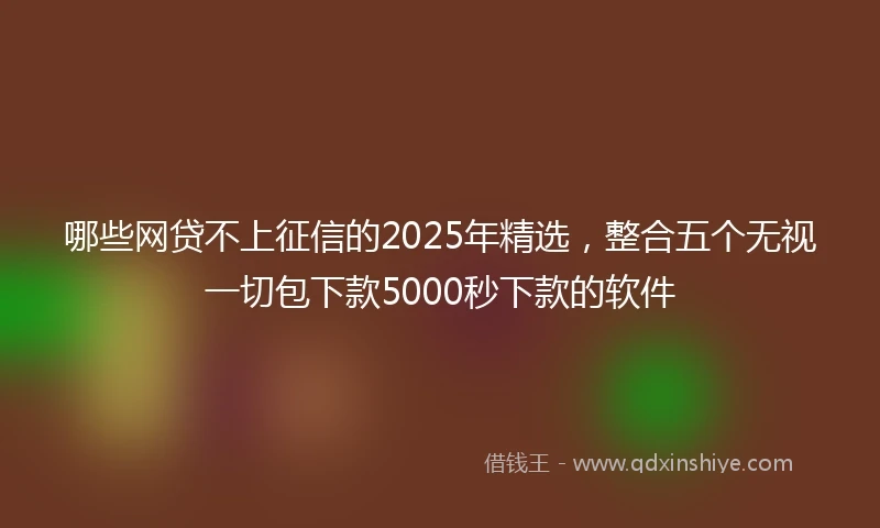 哪些网贷不上征信的2025年精选，整合五个无视一切包下款5000秒下款的软件