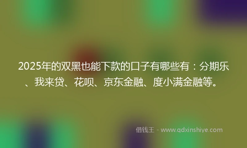 2025年的双黑也能下款的口子有哪些有：分期乐、我来贷、花呗、京东金融、度小满金融等。