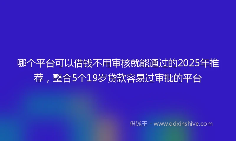 哪个平台可以借钱不用审核就能通过的2025年推荐，整合5个19岁贷款容易过审批的平台