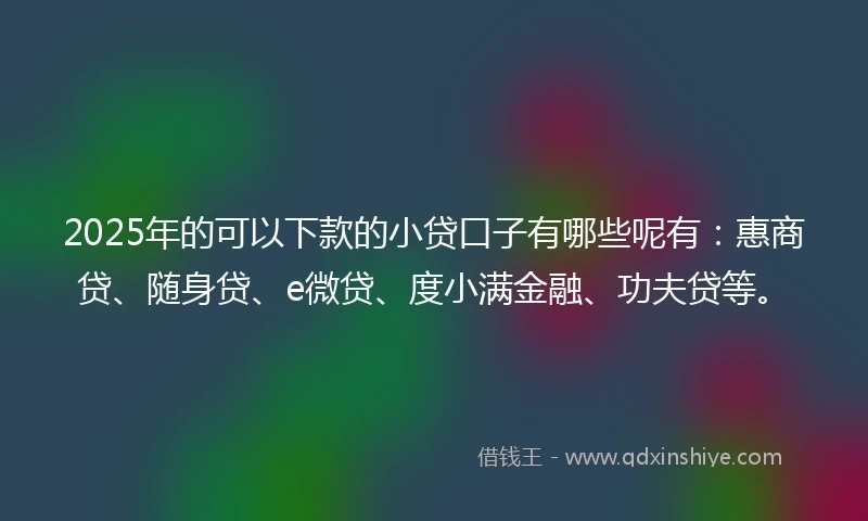 2025年的可以下款的小贷口子有哪些呢有：惠商贷、随身贷、e微贷、度小满金融、功夫贷等。