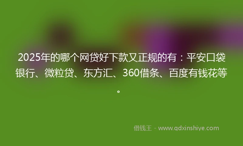 2025年的哪个网贷好下款又正规的有：平安口袋银行、微粒贷、东方汇、360借条、百度有钱花等。