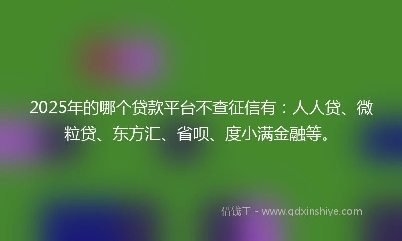 2025年的哪个贷款平台不查征信有：人人贷、微粒贷、东方汇、省呗、度小满金融等。