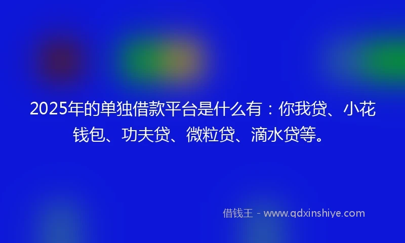 2025年的单独借款平台是什么有：你我贷、小花钱包、功夫贷、微粒贷、滴水贷等。