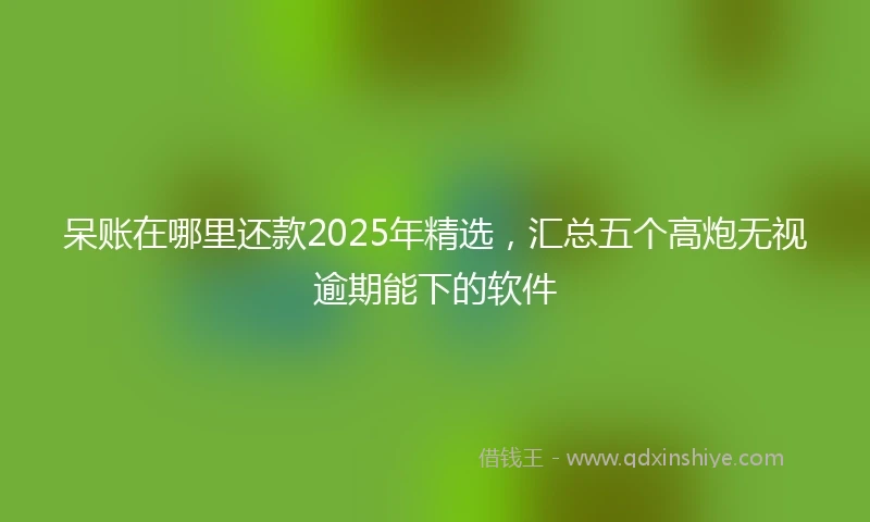 呆账在哪里还款2025年精选，汇总五个高炮无视逾期能下的软件