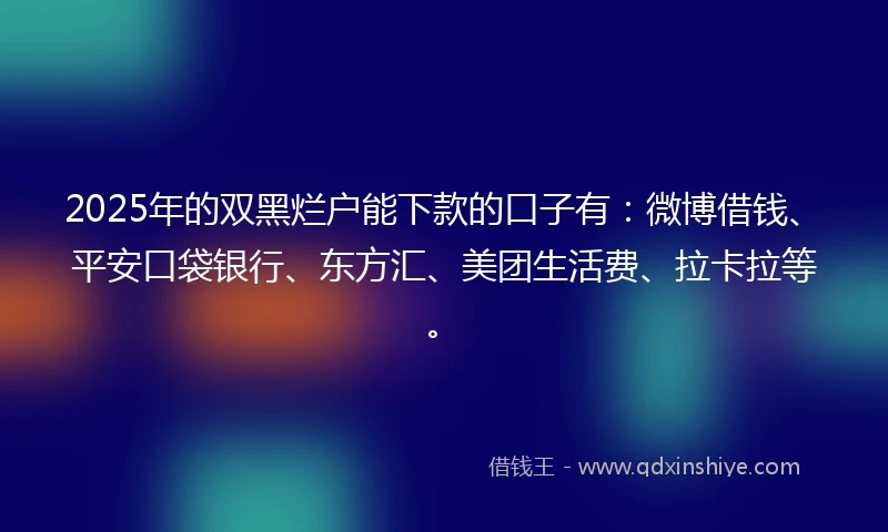 2025年的双黑烂户能下款的口子有：微博借钱、平安口袋银行、东方汇、美团生活费、拉卡拉等。