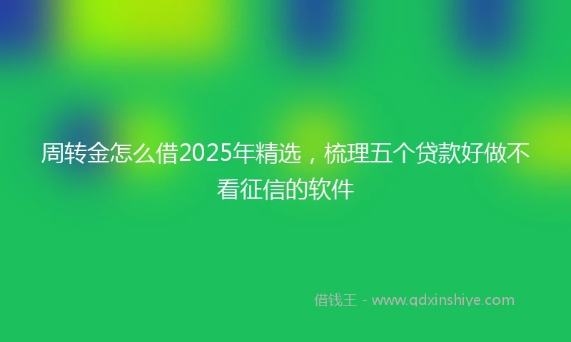 周转金怎么借2025年精选，梳理五个贷款好做不看征信的软件