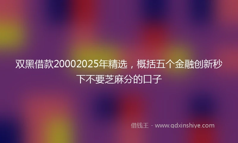 双黑借款20002025年精选，概括五个金融创新秒下不要芝麻分的口子