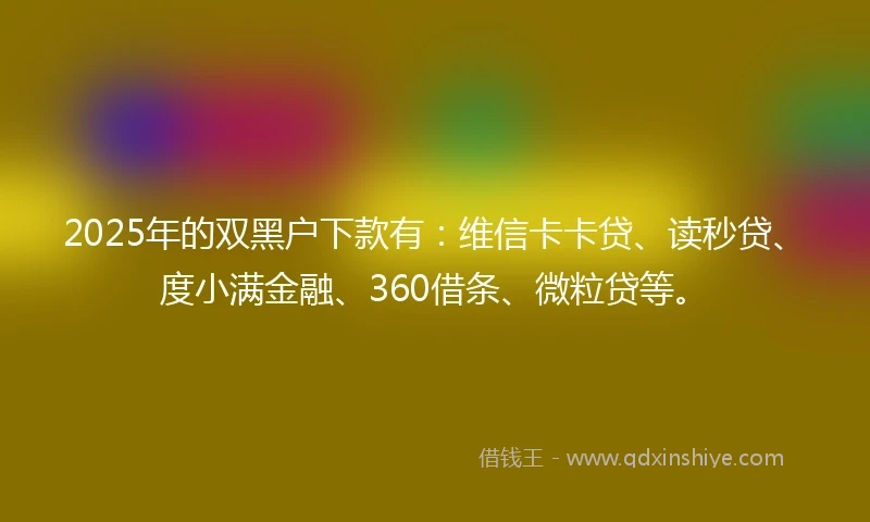 2025年的双黑户下款有：维信卡卡贷、读秒贷、度小满金融、360借条、微粒贷等。