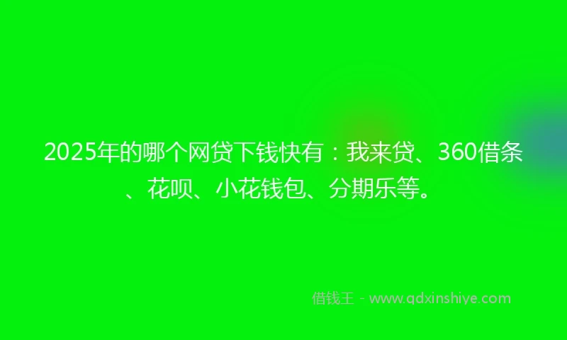 2025年的哪个网贷下钱快有：我来贷、360借条、花呗、小花钱包、分期乐等。