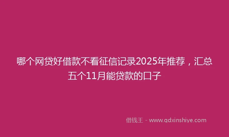 哪个网贷好借款不看征信记录2025年推荐，汇总五个11月能贷款的口子