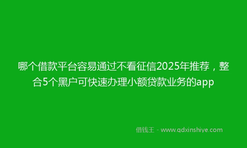 哪个借款平台容易通过不看征信2025年推荐，整合5个黑户可快速办理小额贷款业务的app