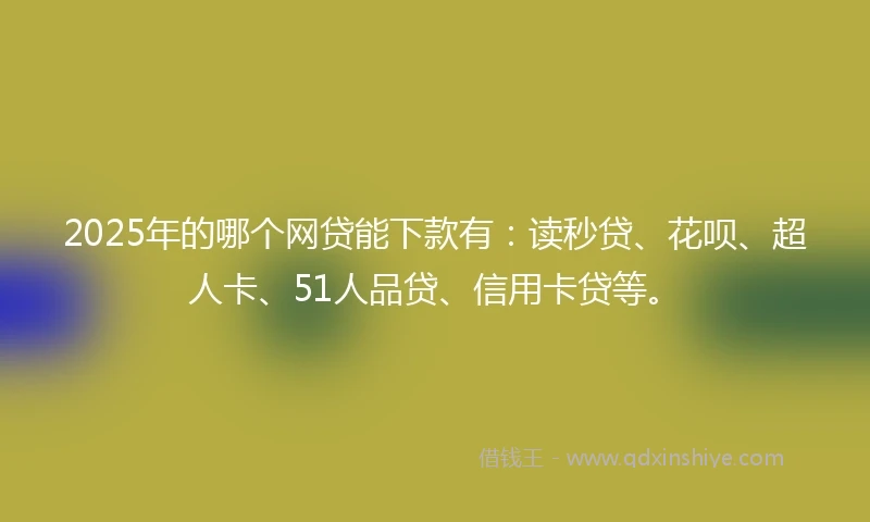 2025年的哪个网贷能下款有：读秒贷、花呗、超人卡、51人品贷、信用卡贷等。