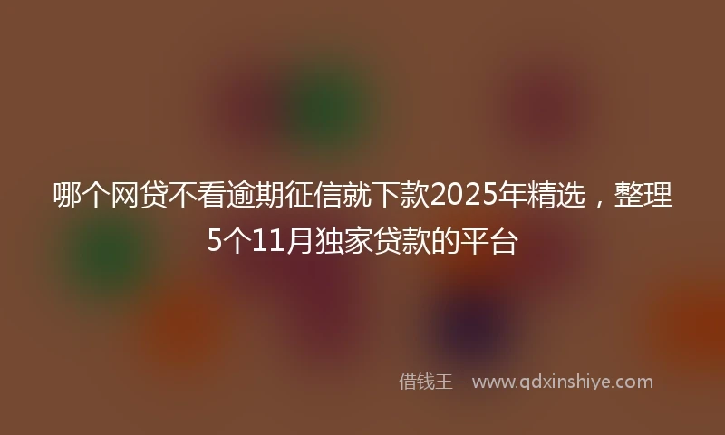 哪个网贷不看逾期征信就下款2025年精选,整理5个11月独家贷款的平台