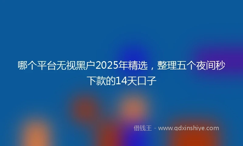 哪个平台无视黑户2025年精选，整理五个夜间秒下款的14天口子