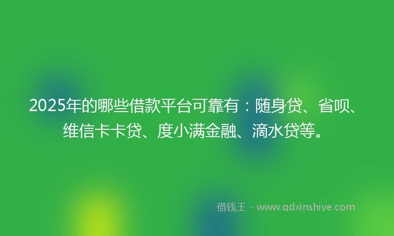 2025年的哪些借款平台可靠有：随身贷、省呗、维信卡卡贷、度小满金融、滴水贷等。