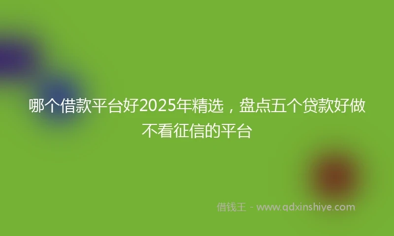 哪个借款平台好2025年精选，盘点五个贷款好做不看征信的平台
