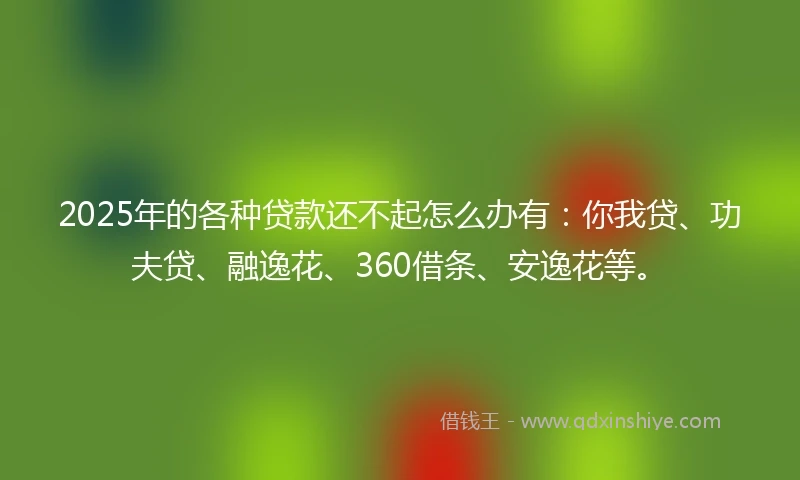 2025年的各种贷款还不起怎么办有：你我贷、功夫贷、融逸花、360借条、安逸花等。