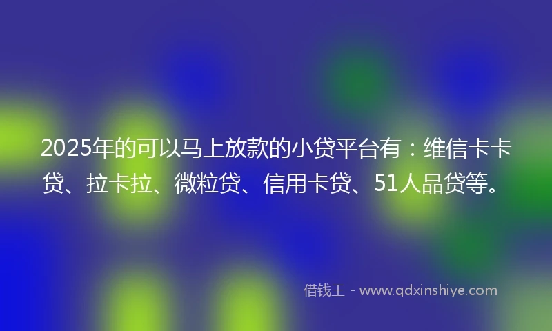2025年的可以马上放款的小贷平台有：维信卡卡贷、拉卡拉、微粒贷、信用卡贷、51人品贷等。