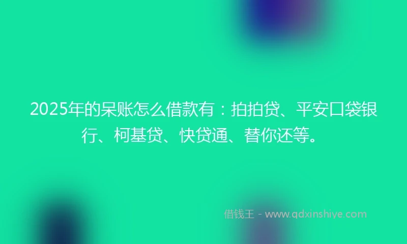 2025年的呆账怎么借款有：拍拍贷、平安口袋银行、柯基贷、快贷通、替你还等。