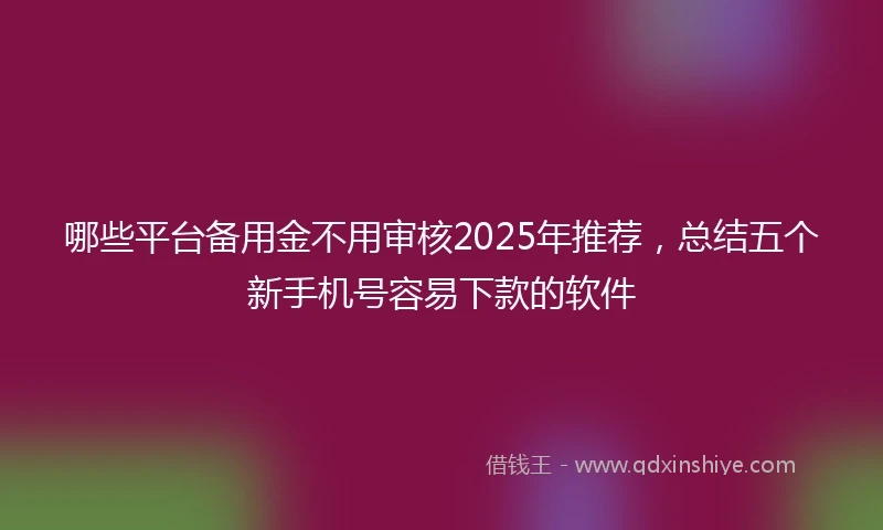 哪些平台备用金不用审核2025年推荐,总结五个新手机号容易下款的软件