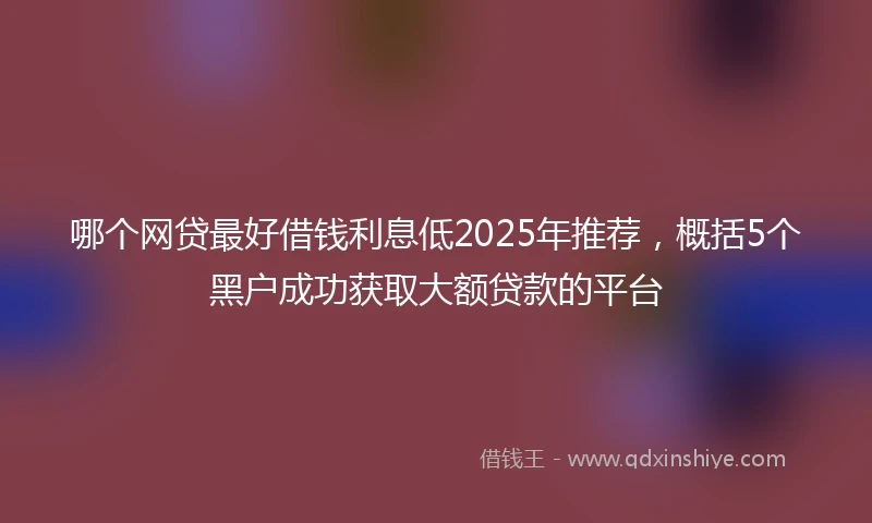 哪个网贷最好借钱利息低2025年推荐，概括5个黑户成功获取大额贷款的平台