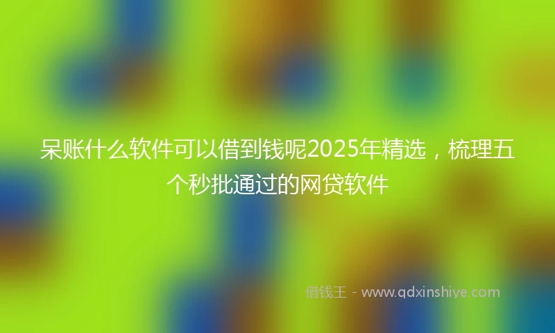 呆账什么软件可以借到钱呢2025年精选，梳理五个秒批通过的网贷软件