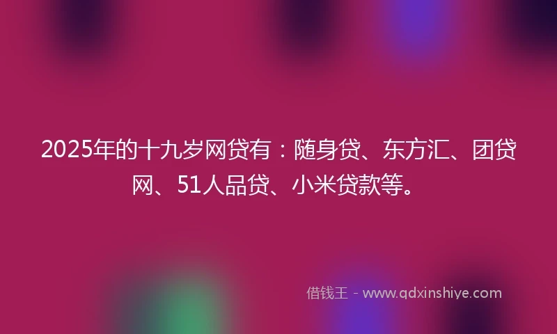 2025年的十九岁网贷有：随身贷、东方汇、团贷网、51人品贷、小米贷款等。