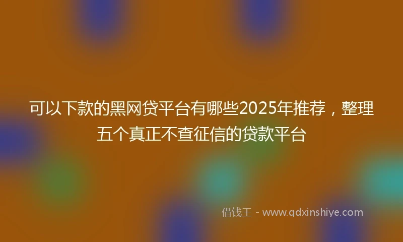 可以下款的黑网贷平台有哪些2025年推荐，整理五个真正不查征信的贷款平台
