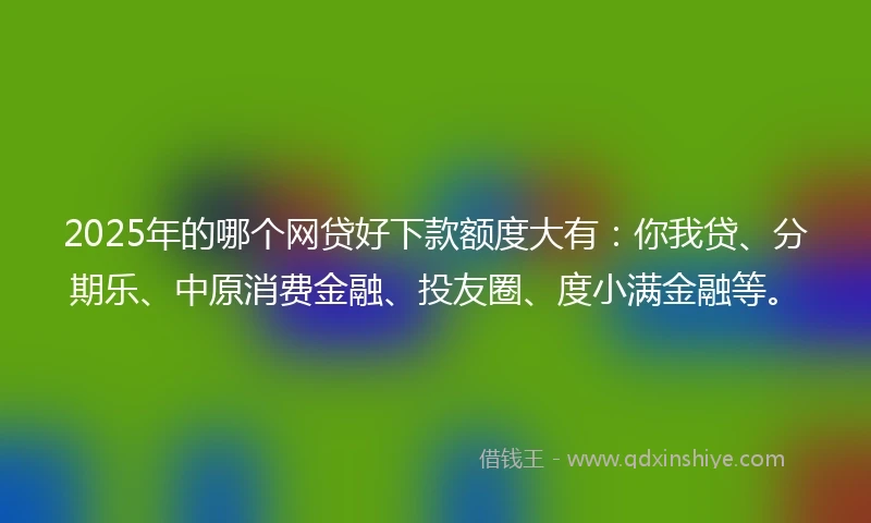 2025年的哪个网贷好下款额度大有：你我贷、分期乐、中原消费金融、投友圈、度小满金融等。