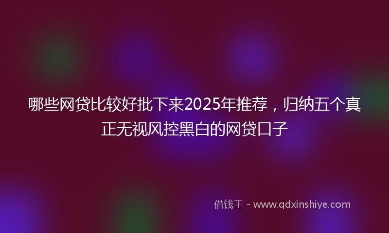 哪些网贷比较好批下来2025年推荐，归纳五个真正无视风控黑白的网贷口子
