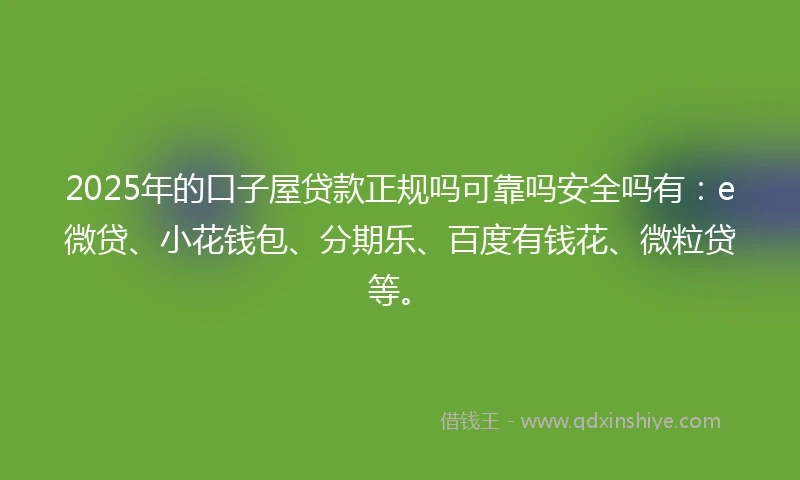 2025年的口子屋贷款正规吗可靠吗安全吗有：e微贷、小花钱包、分期乐、百度有钱花、微粒贷等。