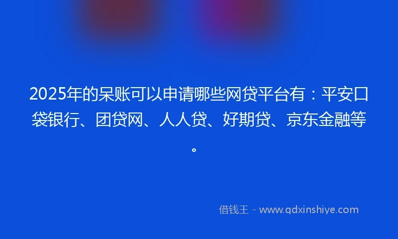 2025年的呆账可以申请哪些网贷平台有：平安口袋银行、团贷网、人人贷、好期贷、京东金融等。