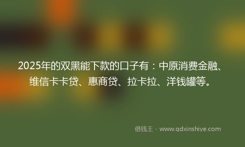 2025年的双黑能下款的口子有:中原消费金融、维信卡卡贷、惠商贷、拉卡拉、洋钱罐等。