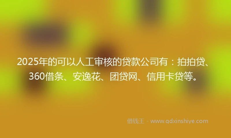 2025年的可以人工审核的贷款公司有：拍拍贷、360借条、安逸花、团贷网、信用卡贷等。